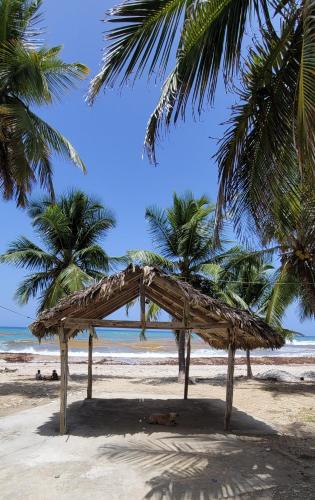 Beach, La Casita de Mary in La Cienaga