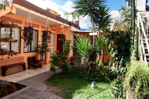 Jardín, Amigos in San Pedro La Laguna