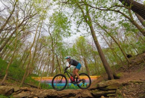 The WILLA on 7th, located in Downtown BENTONVILLE! The WILLA on 7th, located in Downtown BENTONVILLE!