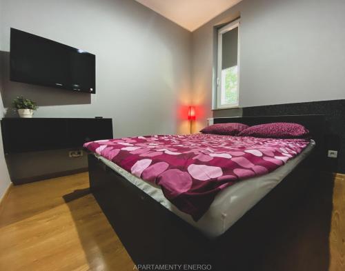 1 double bed, 1 sofa bed