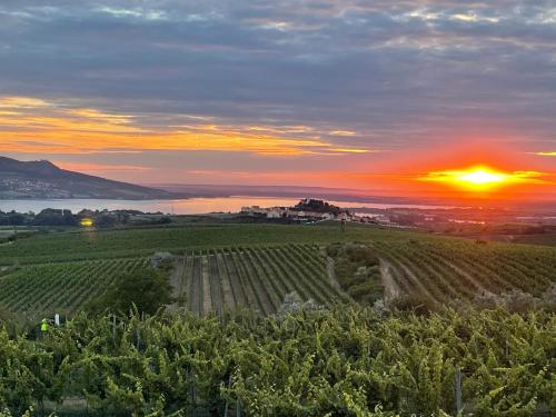 Apartmány u Pálavy obrázok