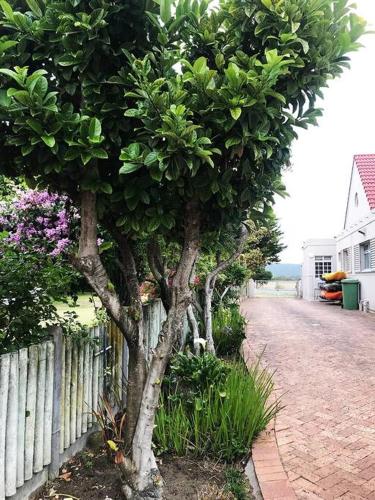 Sedgefield Lagoon Hideout - Kingfisher Drive Sedgefield Lagoon Hideout - Kingfisher Drive