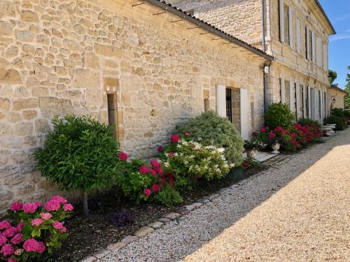 La Suite a Chateau Franc Daut - Location saisonnière - Saint-Magne-de-Castillon