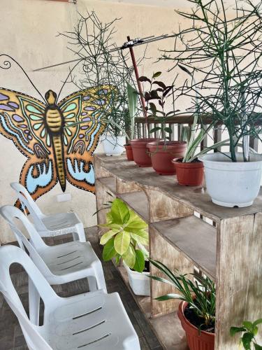 Jo-Cris Apartelle – City of Lapu-Lapu, IL