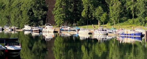 COCOONING near DINANT 300m from River Meuse