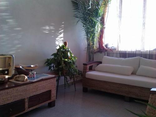  B&B Su Rizolu in Sagama