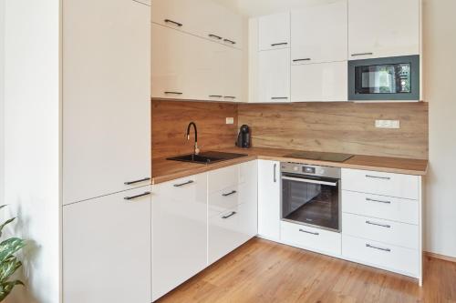 One-Bedroom Apartment image 9