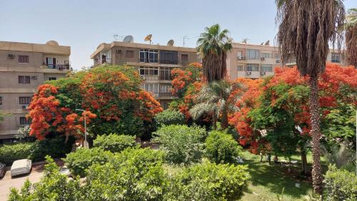 Excellent furnished apartment, quiet area in Maadi