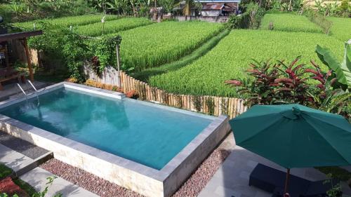 Room in Villa - The Champuhan Villa - Honeymoon Villa With Rice Field View
