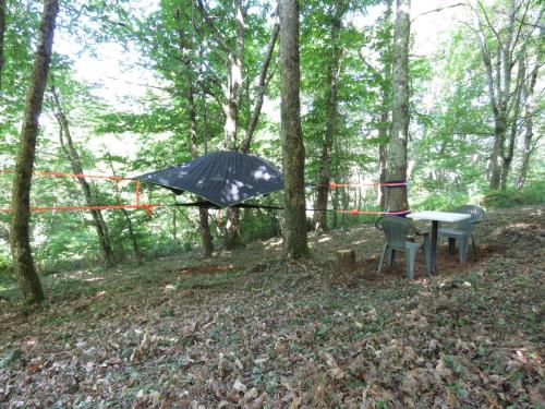 Tente suspendue au coeur de la forêt 4
