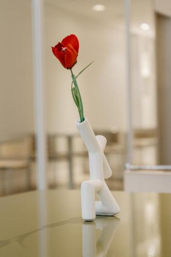 Rochester Hotel Concept, Buenos Aires (fotografie 9)