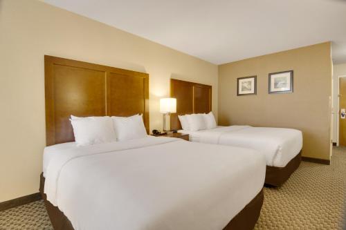 Comfort Inn Airport Roanoke - image 8