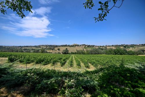 Tenuta Santa Cristina