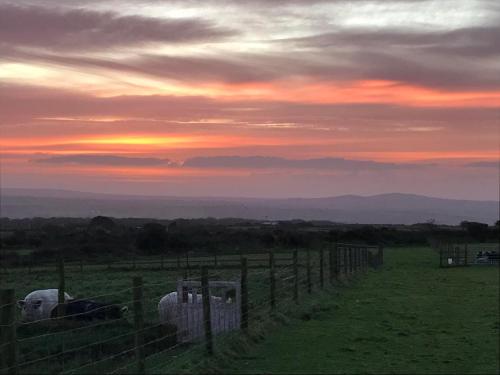 Stunning views & sunrises from Sally Saracen