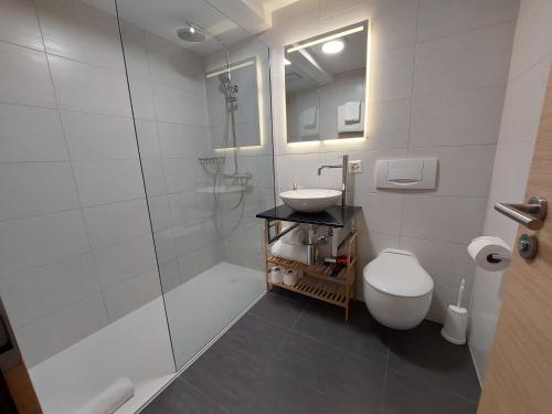 Apartment Samira, Zermatt (photo 8)