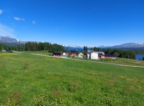 Villmarksgård camping - Hotel - Hattfjelldal