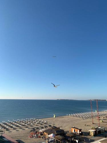 Hotel Glarus Beach - image 8