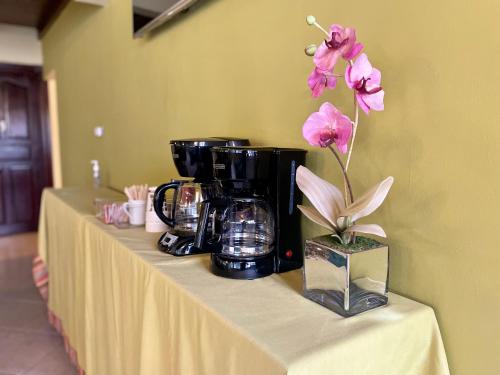 Sofia's B&B Hostal Boutique - image 5