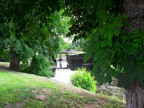 Gîte Rarécourt, 3 pièces, 4 personnes - FR-1-585-79