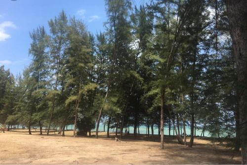 Beach, D'Salbiah Homestay in Pantai Teluk Mak Nik