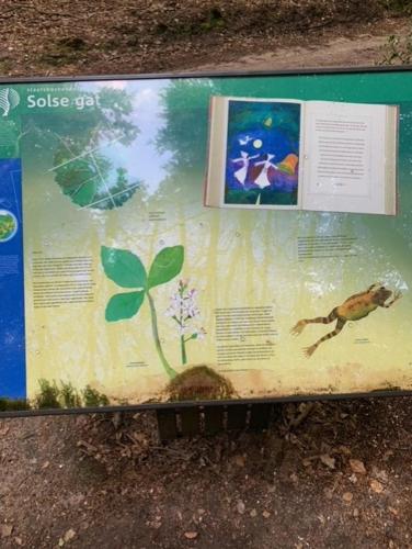 Oase rust en privacy op de Veluwe voor 4 personen Oase rust en privacy op de Veluwe voor 4 personen