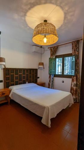 1 double bed, 2 twin beds