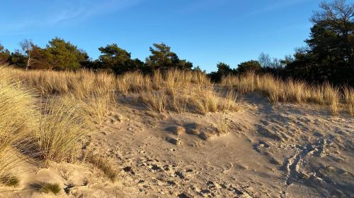 Apartament Seaside Dune - Aleja Południowa 14A Dźwirzyno