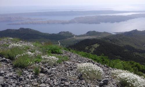 Sobe za noćenje Gospić (Sobe za nocenje Gospic) in Gospic