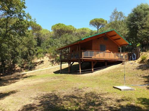 Rustic Cabin in the Woods/Cabaña en el bosque