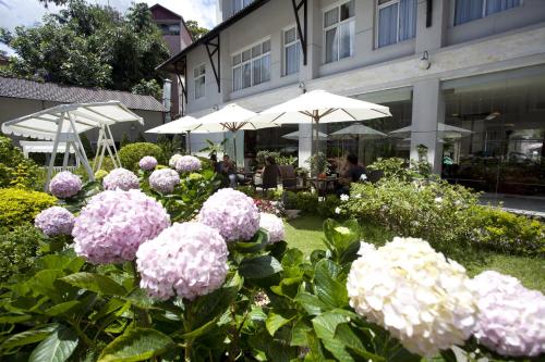Muong Thanh Holiday Da Lat Hotel photo 2