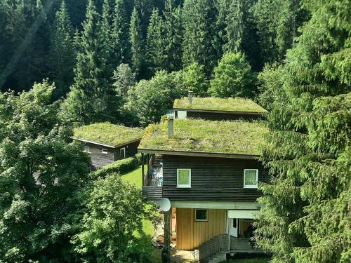 Ferienhaus Bad Hundertpfund Typ A in Grossbreitenbach