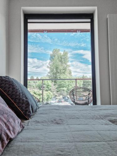 Apartament VIP CENTRUM