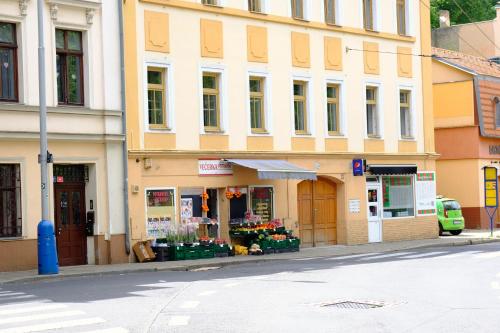 Luxury Three-Bedroom Apartment