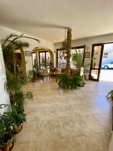 Family Hotel The Golden fish 2