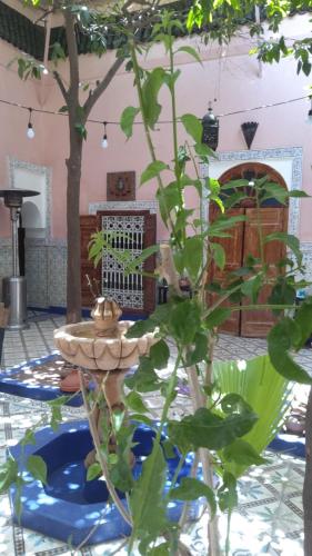 Riad Bouchouari 33, Marrakech