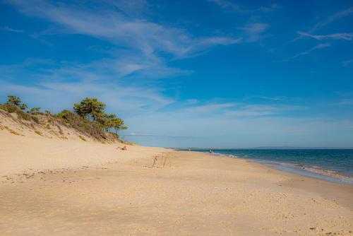 Pestana Troia Eco-Resort & Residences - image 10