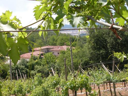 Agriturismo Ca' Verde, SantʼAmbrogio di Valpolicella