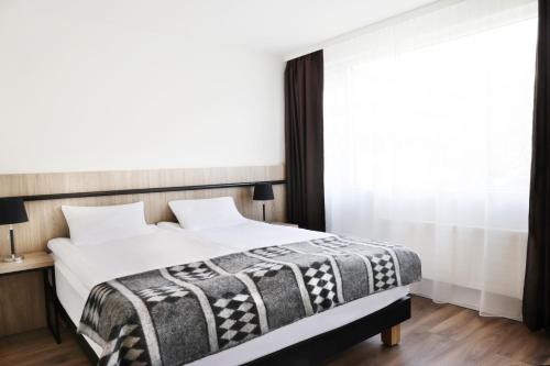 1 queen bed, 1 sofa bed