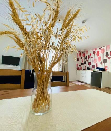 PÁLAVSKÉ DOMKY PÁLAVSKÉ DOMKY