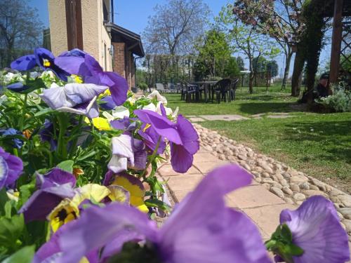 VILLA BOTTERA with Jacuzzi in the garden Cuneo Langhe Piemonte