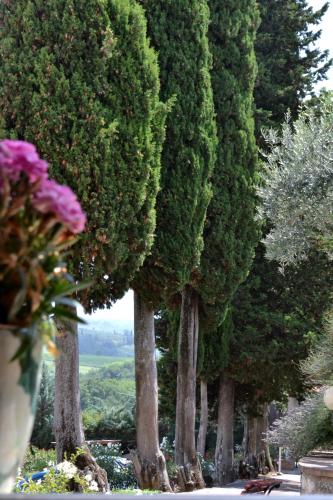 Podere Bellavista - Accommodation - San Gimignano