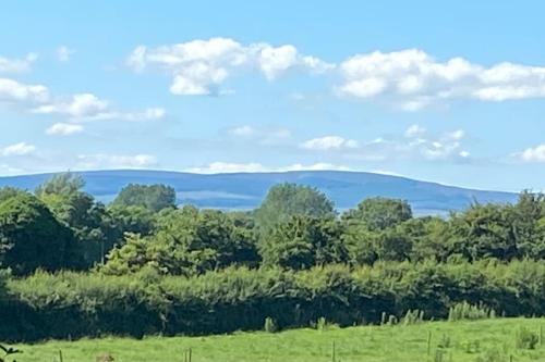 Omgeving, Adorable Cabin in the Countryside in Portlaoise