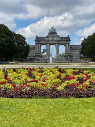 Cinquantenaire Appartement