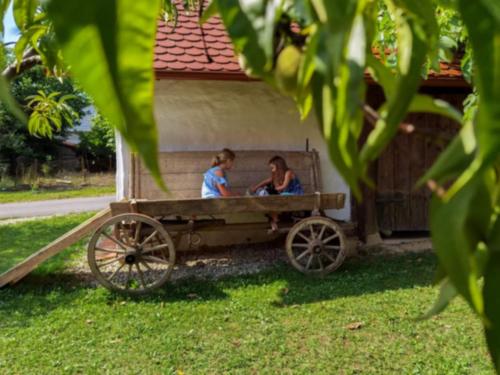 Balajceva domačija - Moravske Toplice