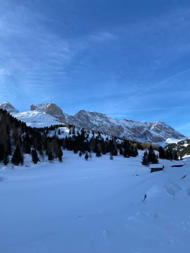 Apkārtne, Casa Fiemme Panchià (Casa Fiemme Panchia) in Panchia