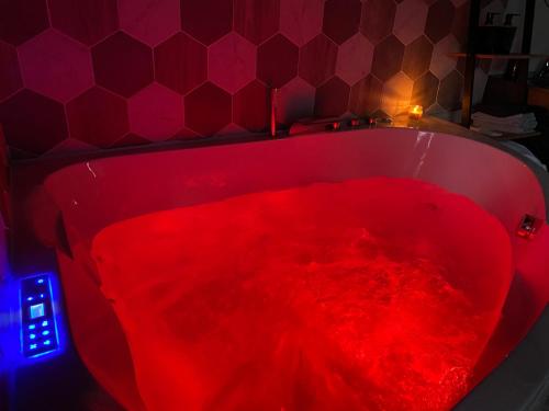 Chambre chaleureuse avec jacuzzi