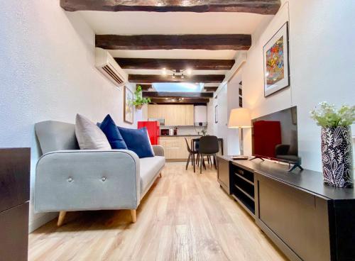 Charming Malasaña Attic