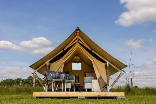 Charmecamping & Appartementen De Regge-Vallei, Den Ham (fotografie 8)
