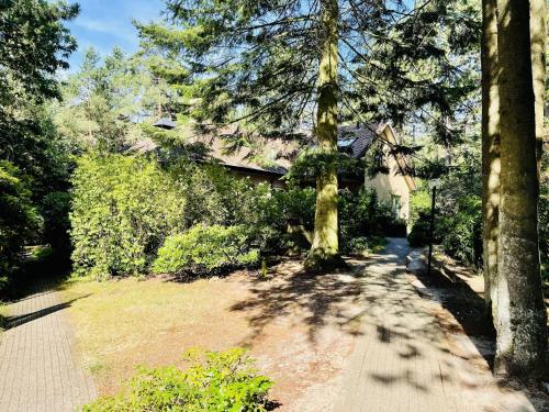 Cozy Villa in Doornspijk with Swimming Pool - main image