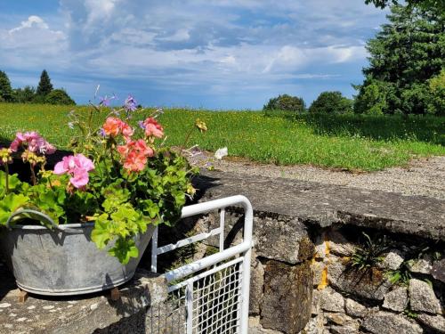 Vintage holiday home in Limousin with dual terarce